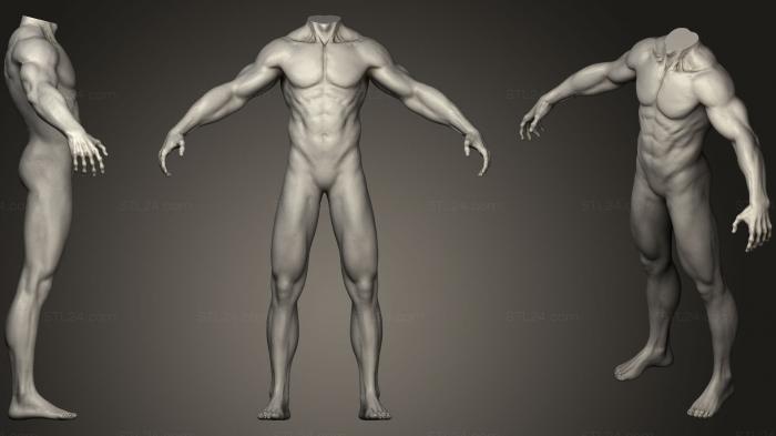 Анатомия скелеты и черепа (Основание мужского тела, ANTM_0771) 3D модель для ЧПУ станка